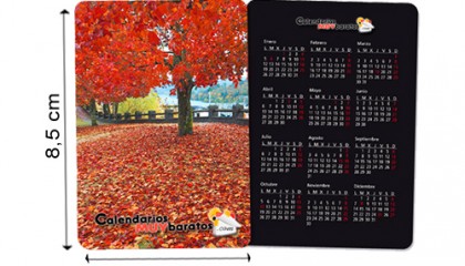 Calendario PVC Bolsillo 300 gr. 8,5 x 5,5 cm. color