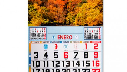 Faldilla Mensual de 33,5 cm/ancho color