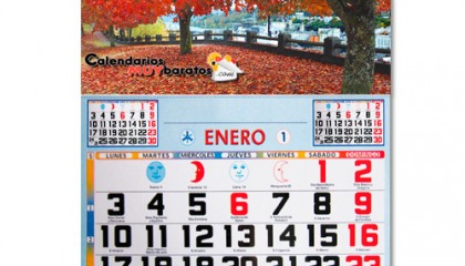 Faldilla Mensual de 43,5 cm/ancho color