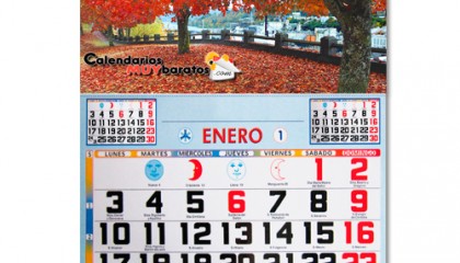 Faldilla Mensual de 48,5 cm/ancho color